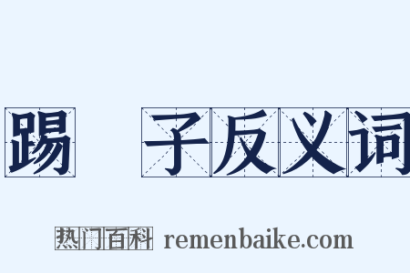 踢鞬子反义词是什么意思的图片